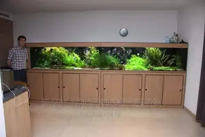 Lengthy Aquarium 10ft