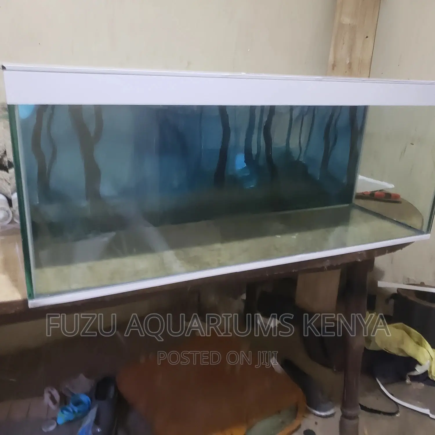 Empty Aquarium, 3ft