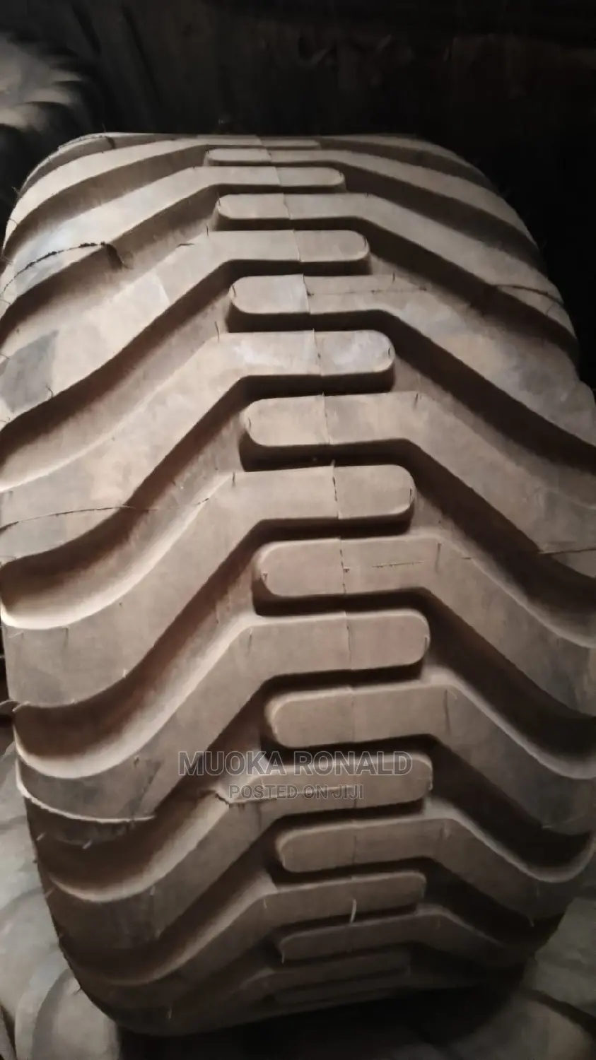 550/60-22.5 Triangle Tyre (Nylon