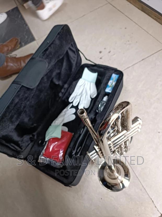 Suzuki Silver Trumpet - main view