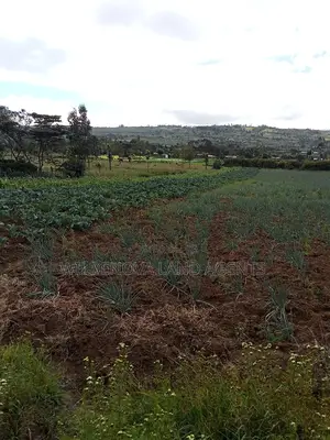 Land on Sale at Naivasha Kiabogo