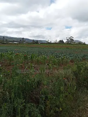 Land on Sale at Naivasha Kiabogo