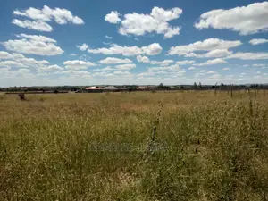 1/8 Plots Near Ostrich Farm