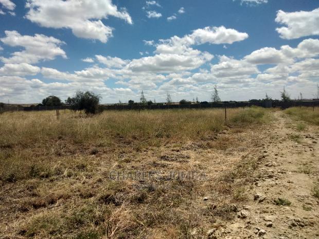 1/8 Plots Near Ostrich Farm - thumbnail 4