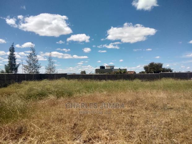 1/8 Plots Near Ostrich Farm - thumbnail 5