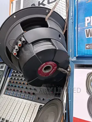 Pioneer TS-W308D4 Subwoofer Speaker