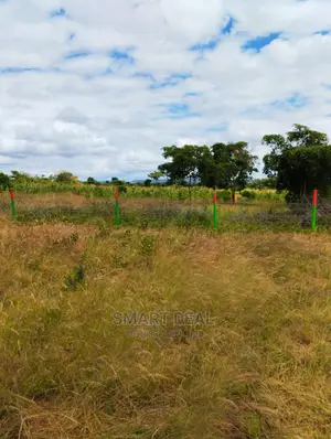 50x100 Plots for Sale in Matuu