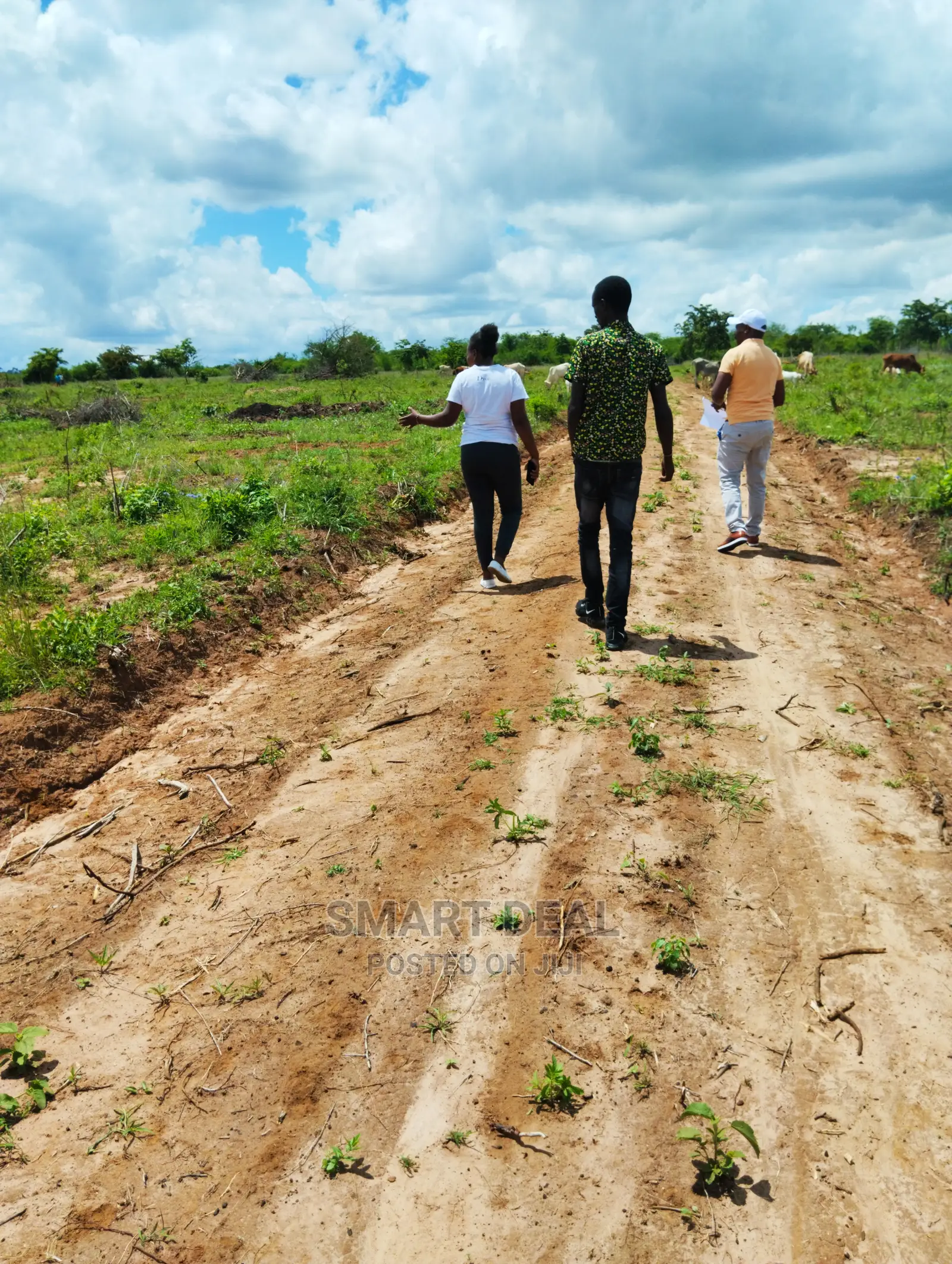50x100 Plots for Sale in Matuu