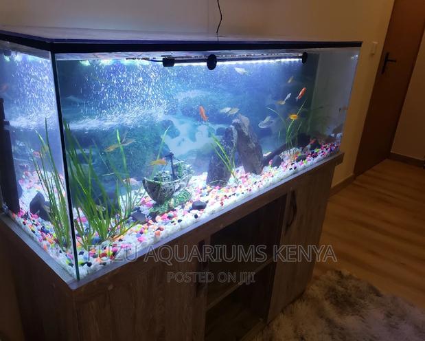 4ft Aquarium With Cabinet