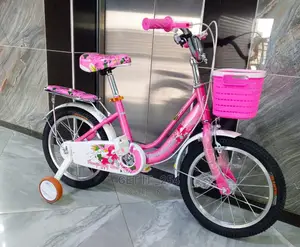 Size 16 Bike