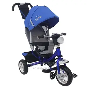 Musical Tricycle With Canopy, Parental Control Handle,