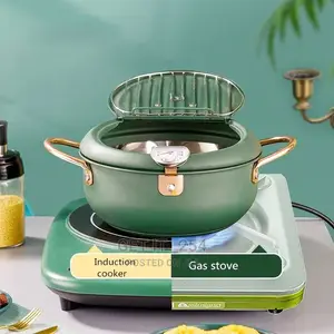 Nordic Green Coloured 3.4L Frying Pot With Thermometer