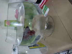 Betta Fish With Wine Glass Aquarium Bowl, Fish Bowl