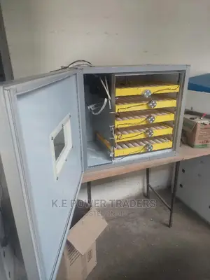 Tested and Calibrated 300 Egg Incubator