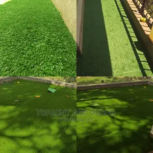 Grass Carpet Grass Carpet Grass Carpet Grass Carpet