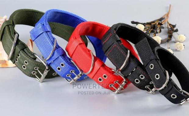 Dog Collar . - main view