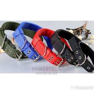 Dog Collars - thumbnail 2