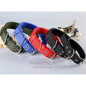 "Dog Collars - thumbnail 2