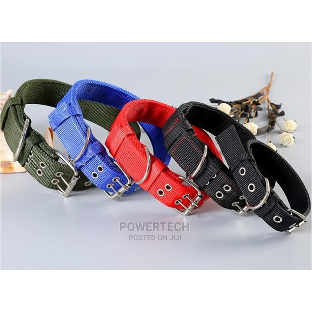 "Dog Collars - main view