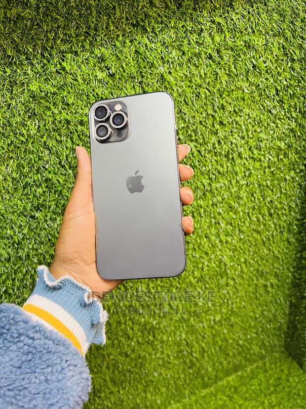 Apple iPhone 12 Pro Max 256 GB Gray - main view