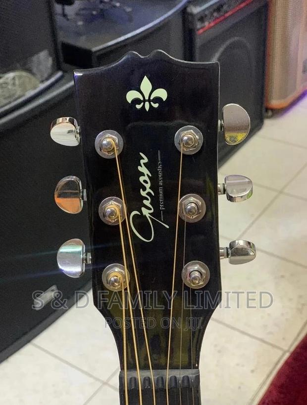 Gyson Acoustic Guitar - main view