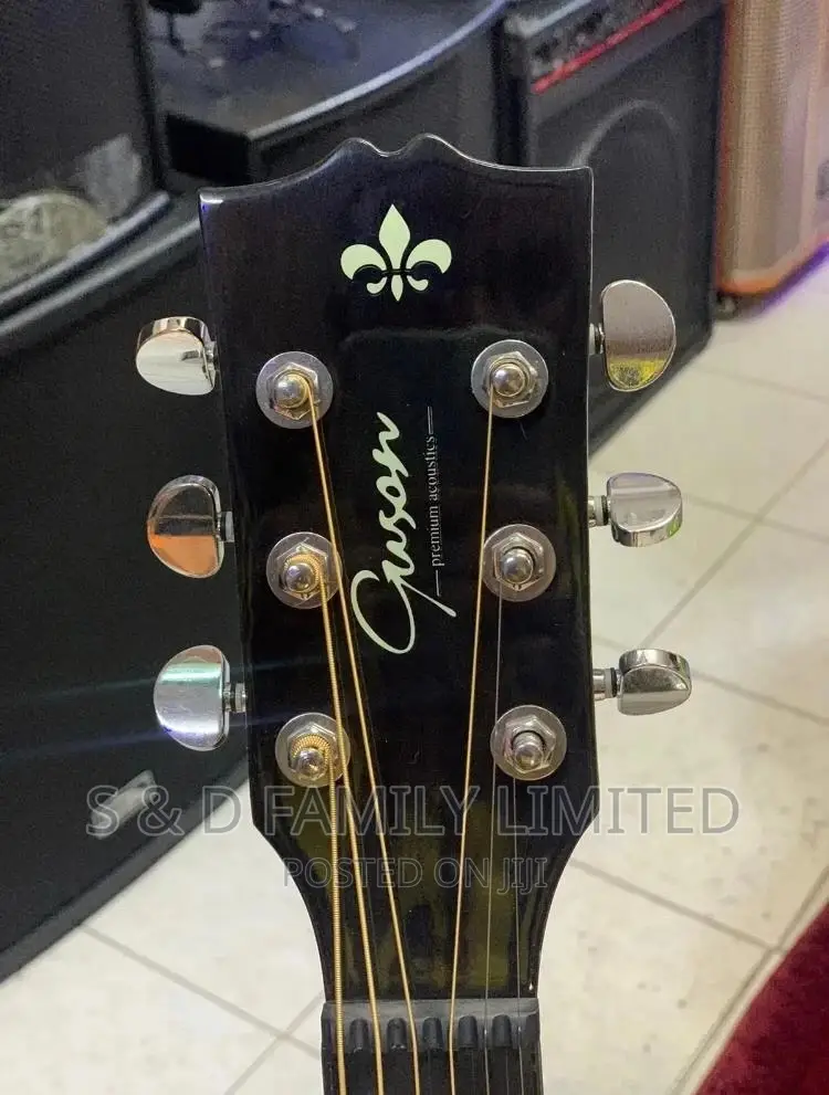 Gyson Acoustic Guitar