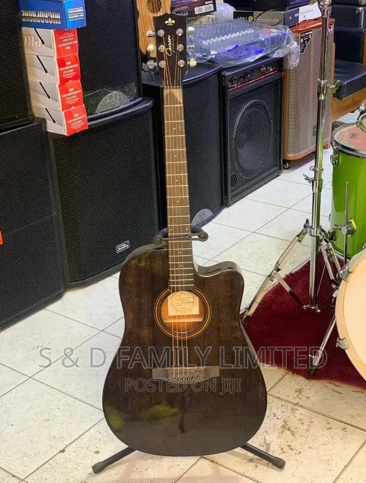 Gyson Acoustic Guitar