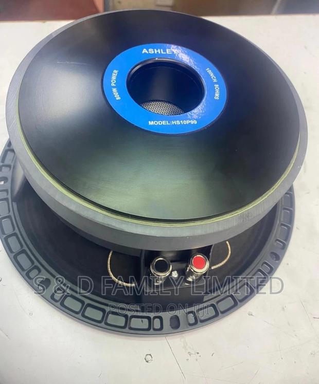 Ashly HS10P99 10 Inch Naked Speaker