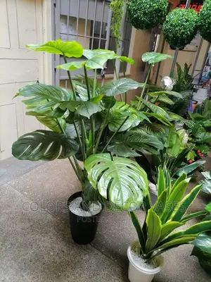 1.7m Long Plants Plus Vase/Stones