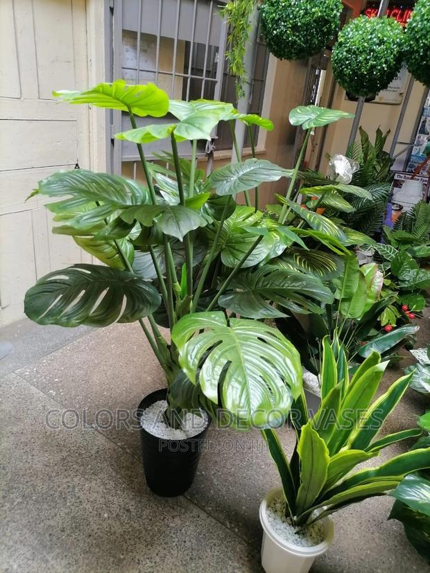 1.7m Long Plants Plus Vase/Stones