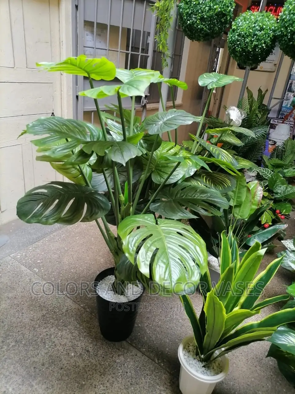 1.7m Long Plants Plus Vase/Stones