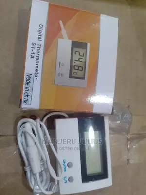 Temperature Thermometer