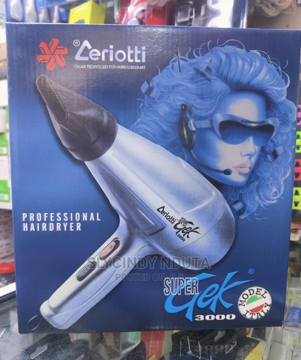 Ceriotti Professional Hair Dryer - main view