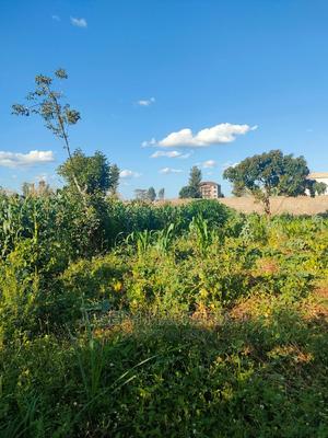 100by100 for Sale Kiambu Town - thumbnail 2