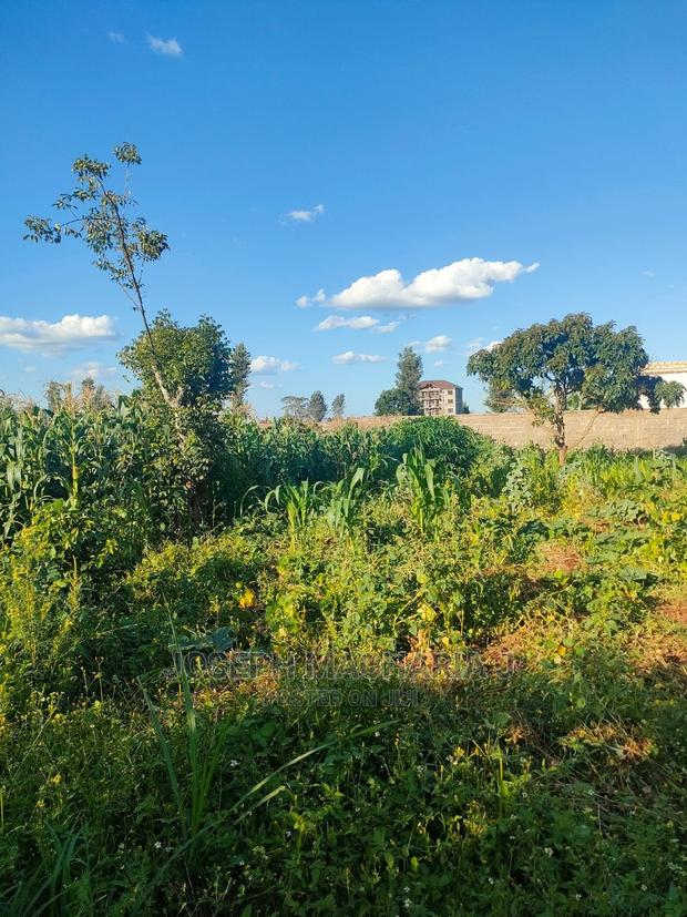 100by100 for Sale Kiambu Town - main view