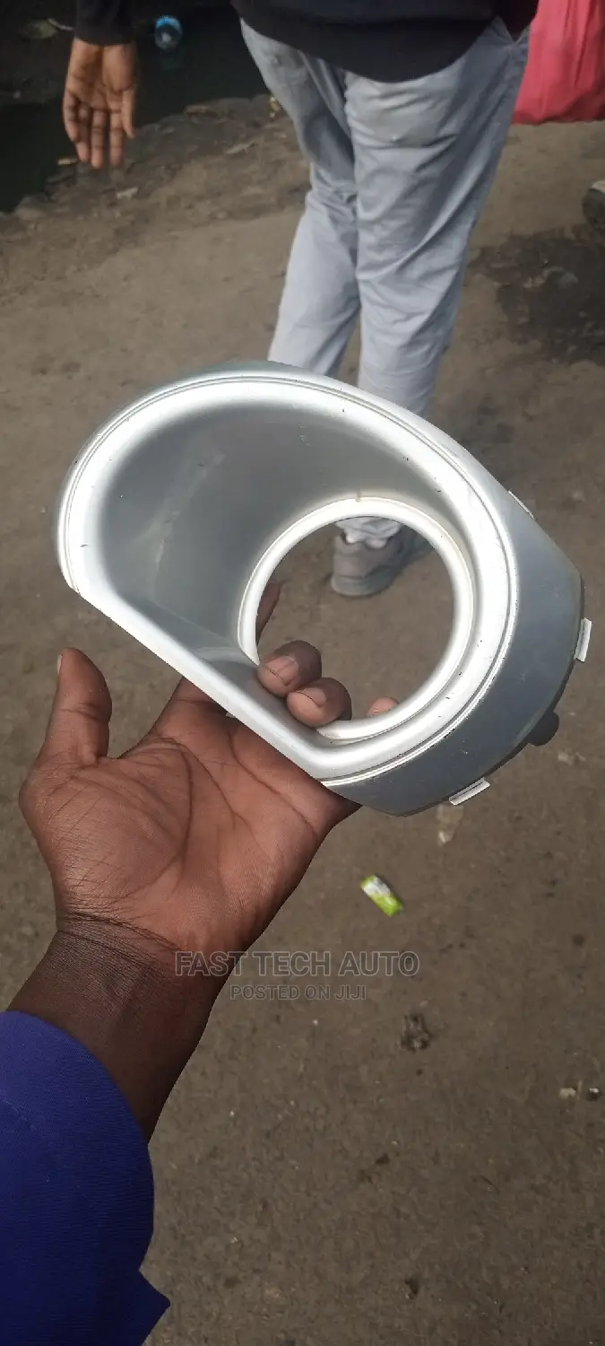 Subaru Outback Fog Cover