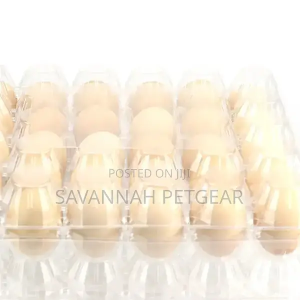 Disposable Transparent Plastic Egg Box 30 Grids Egg