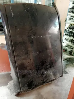 Nissan Juke Roof.
