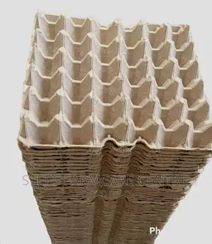 Quality Paper Egg Trays
