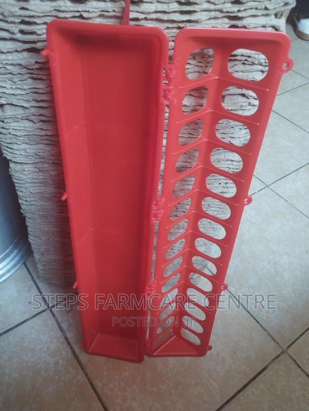 Chicken Feeding Troughs - thumbnail 3