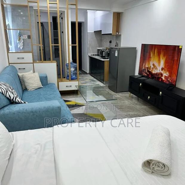 Furnished Studio Apartment in Kilimani for rent - thumbnail 9