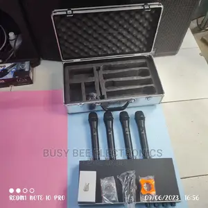 4in1 Sound Master Wireless Microphone