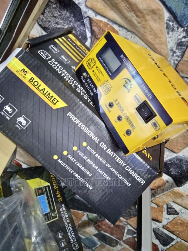 Car Battery Charger, Battery Charger 12volts and 24volts