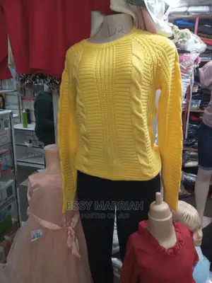 Ladies Sweater Tops 