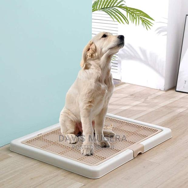 Smart Paws Dog Training Tray Pee Pad - main view