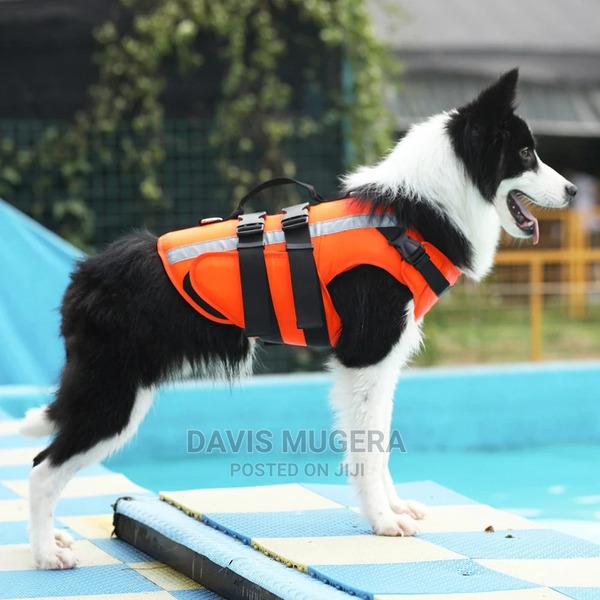 Floatation Swimwear Dog Life Jacket - main view