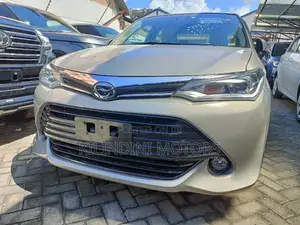 Toyota Axio 2017 Gold