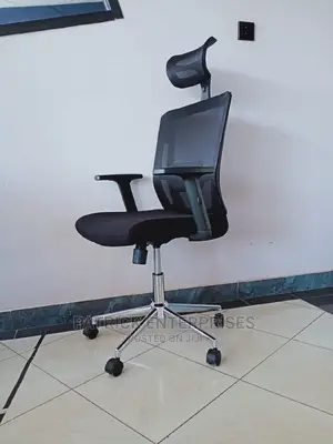 Imported Orthopedic Office Chair