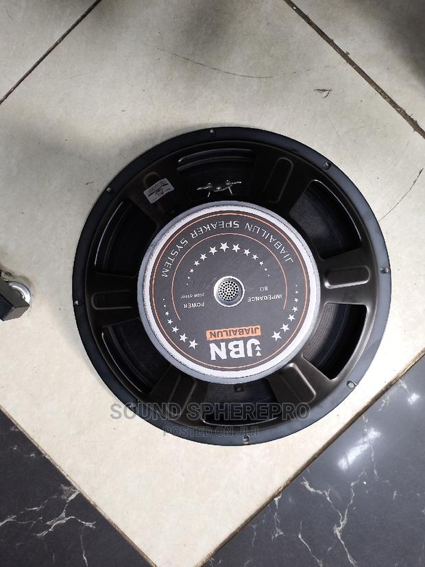 JBN 15 Inch Speaker
