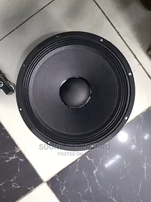 JBN 15 Inch Speaker